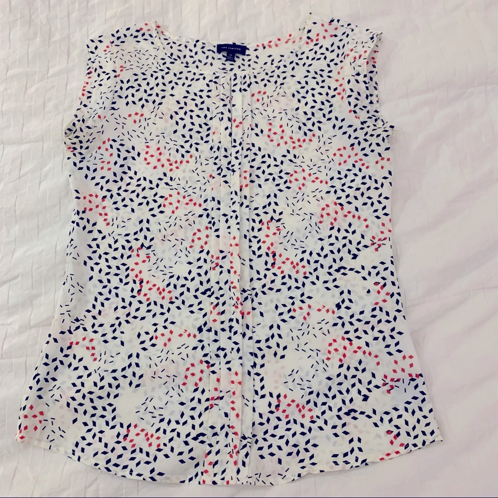The Limited Blouse